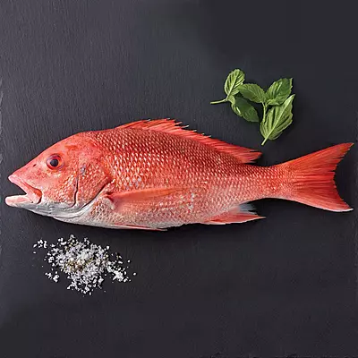 Red Snapper Fish Cut into Pcs
