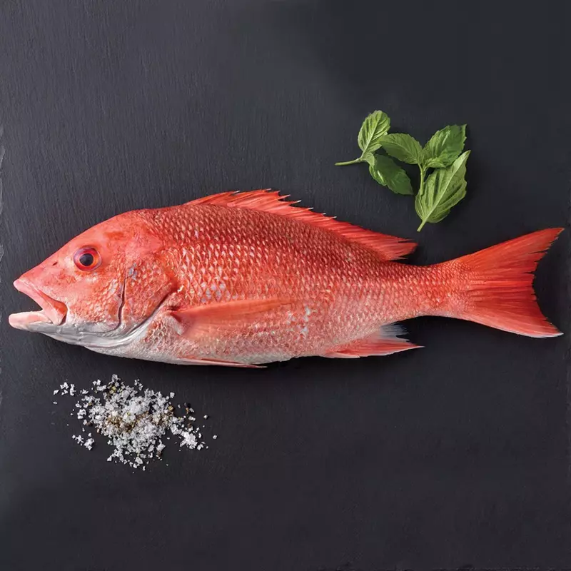 Red Snapper Fish Cut into Pcs Red Snapper Fish Cut into Pcs