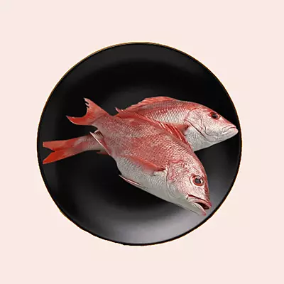 Red Snapper Fish Cut into Pcs Red Snapper Fish Cut into Pcs