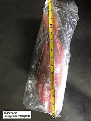 Red Snapper Fish Whole (1-2Lbs) Red Snapper Fish Whole (1-2Lbs)