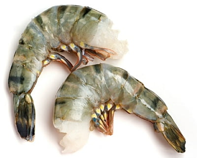 Headless Shell On Black Tiger Jumbo Shrimp