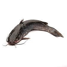 Whole Catfish
